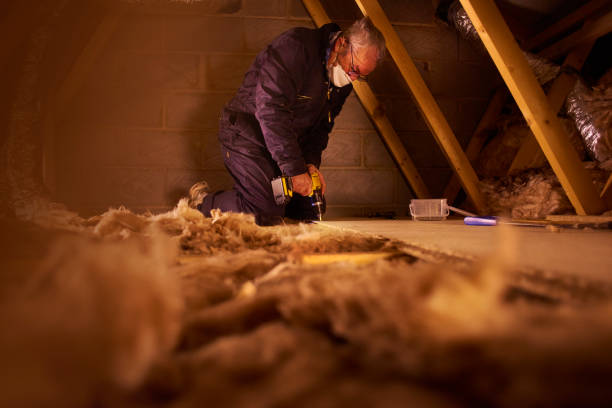 Best Affordable Insulation Services  in Kings Mills, OH